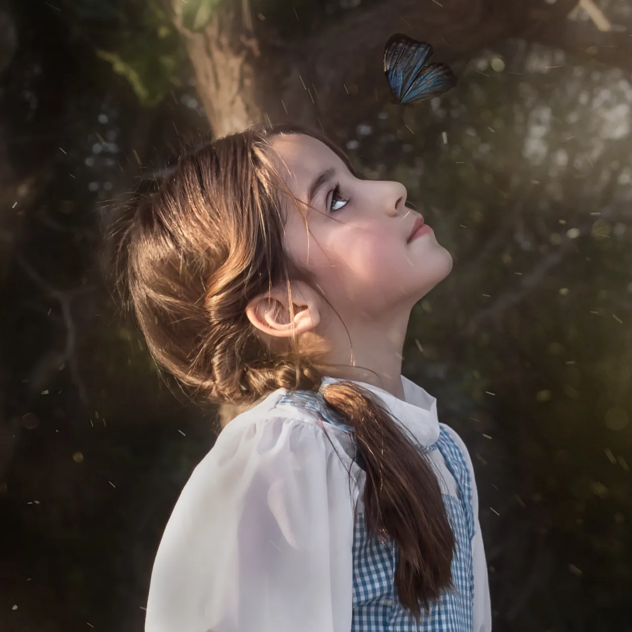 fineart 18