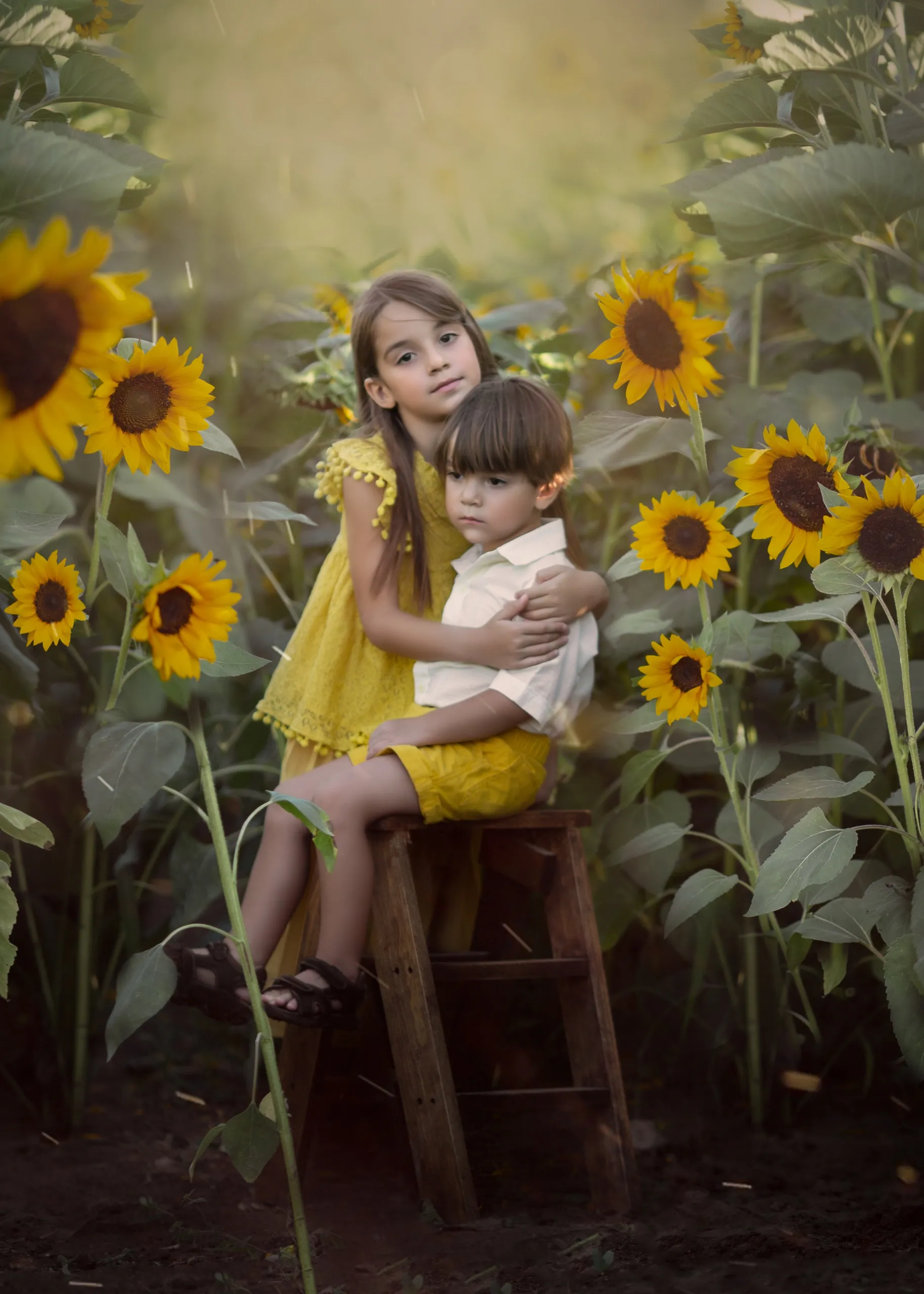 fineart 36