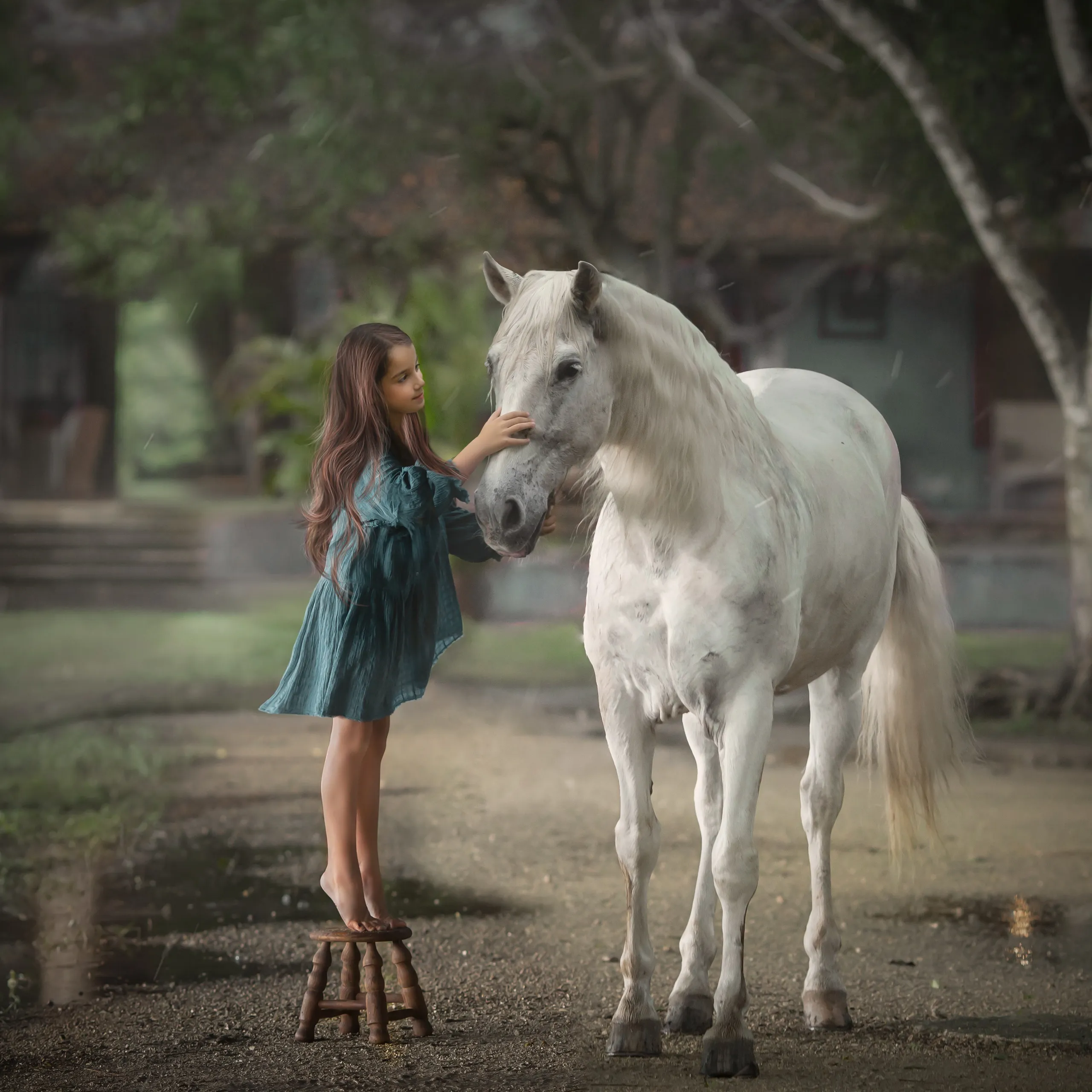 fineart 39