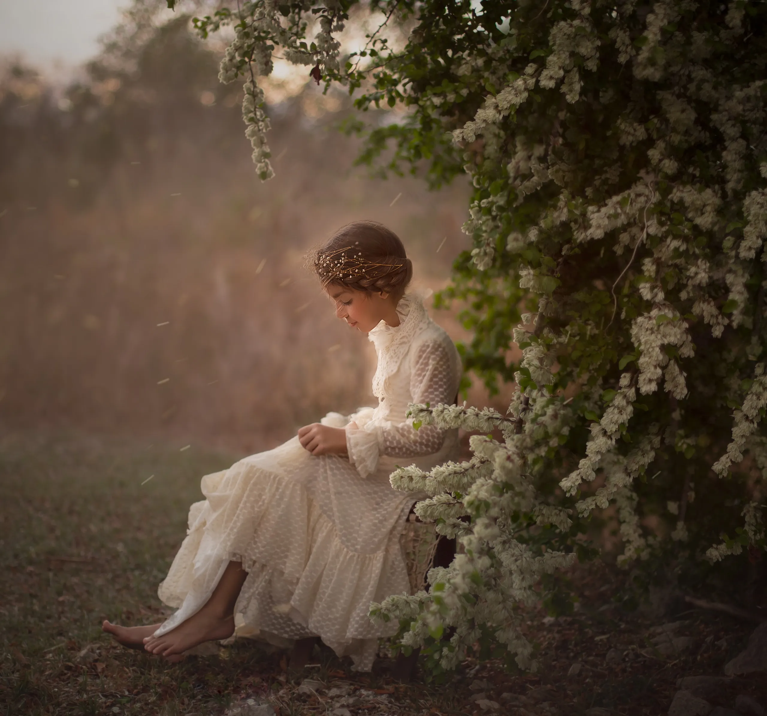 fineart 43