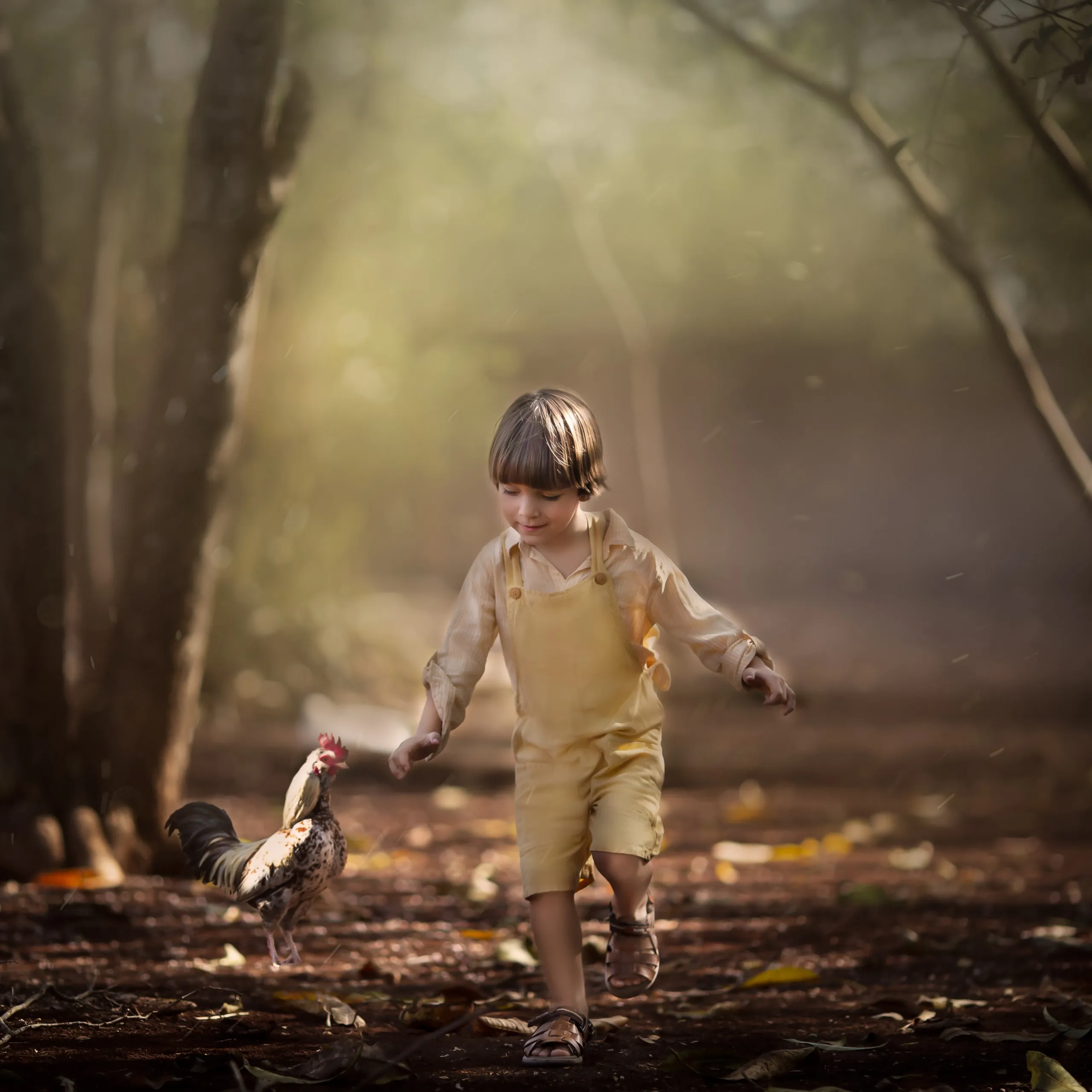 fineart 52